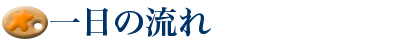 一日の流れ