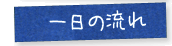 一日の流れ