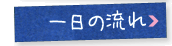 一日の流れ